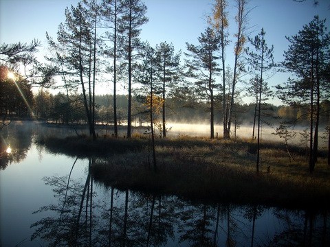 Плавающие острова